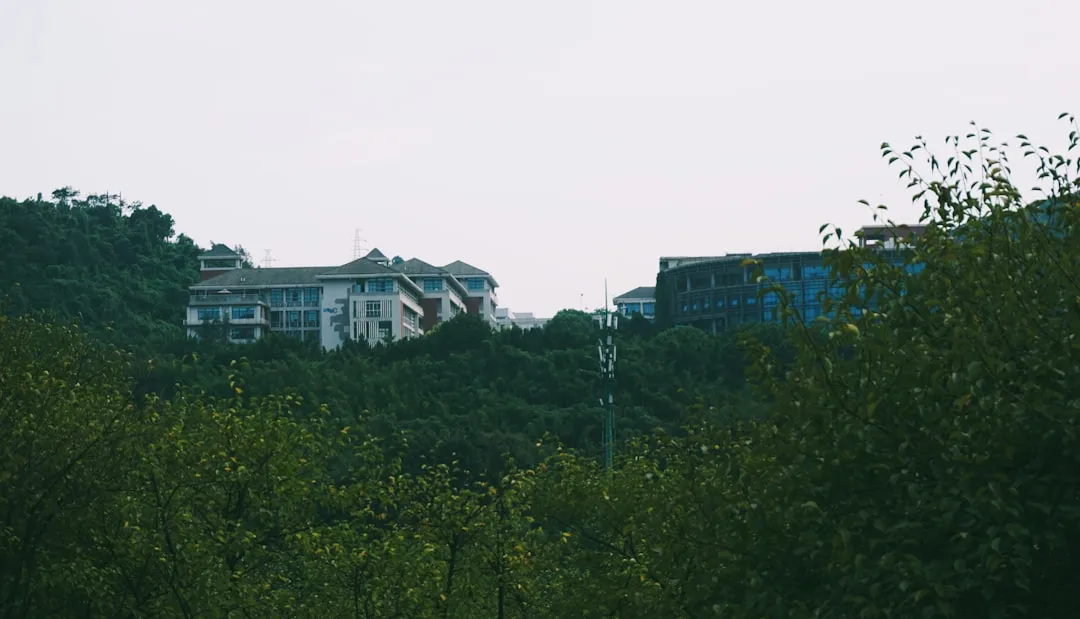 订单处理软件与库存同步模块集成方案设计指南